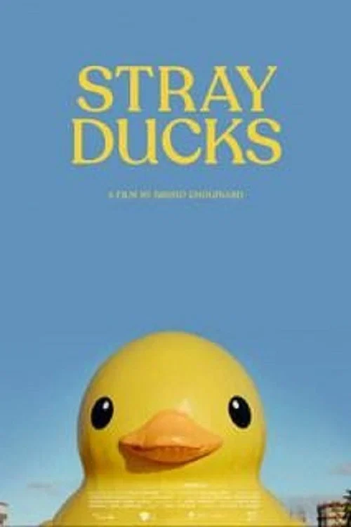 Canards Errants постер
