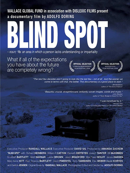 Blind Spot постер