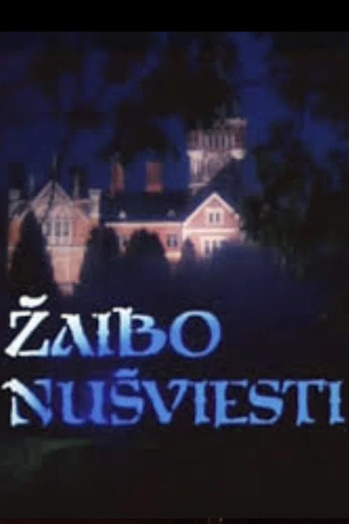 Žaibo nušviesti постер