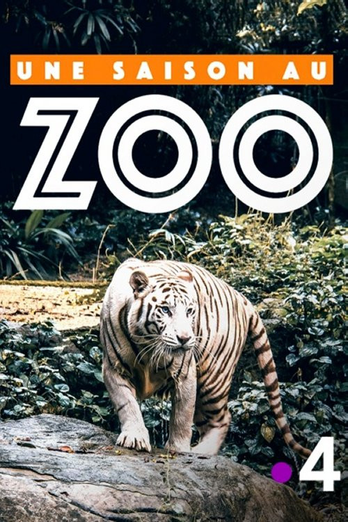 Une saison au zoo постер