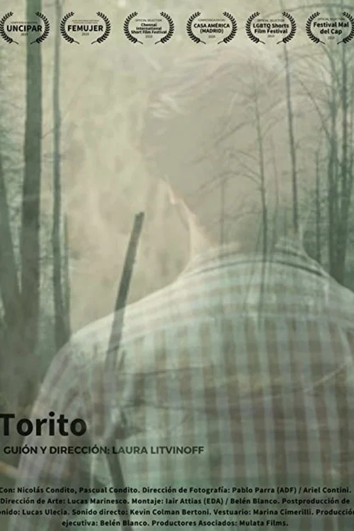 Torito постер