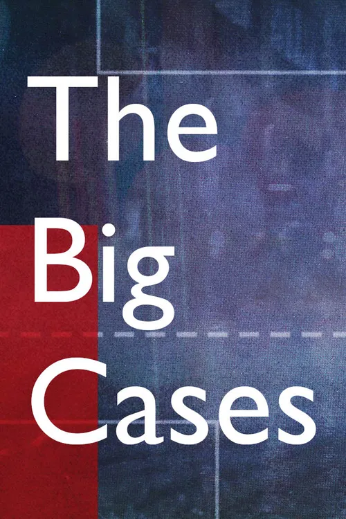 The Big Cases постер