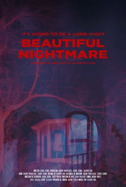 Beautiful Nightmare постер