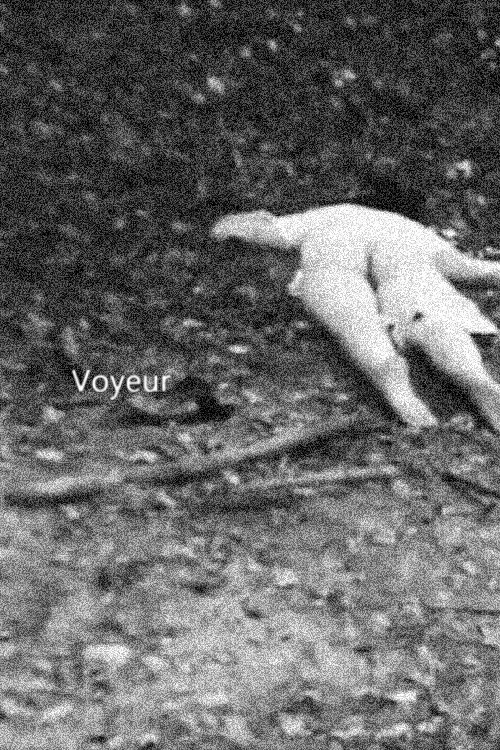 Voyeur постер