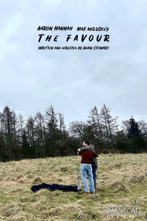 The Favour постер