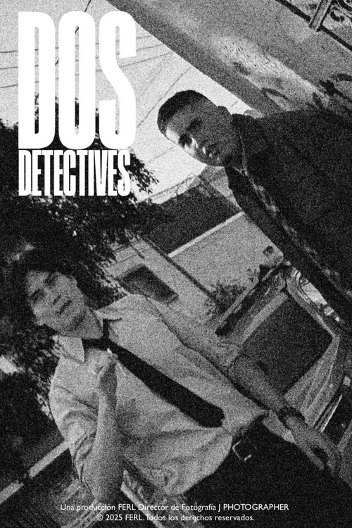 Dos Detectives постер