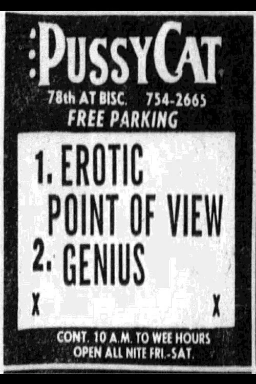 Erotic Point of View постер