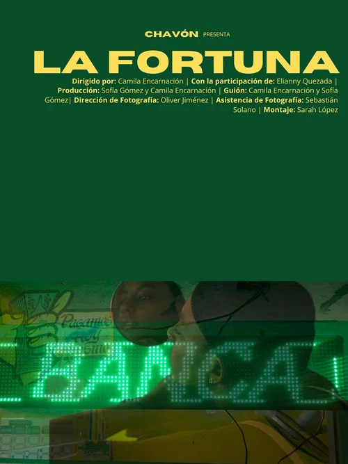 La Fortuna постер