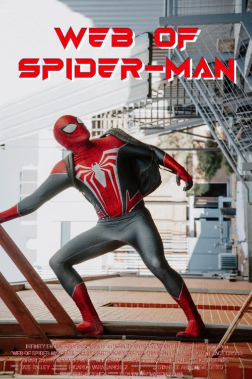 Web of Spider-Man постер