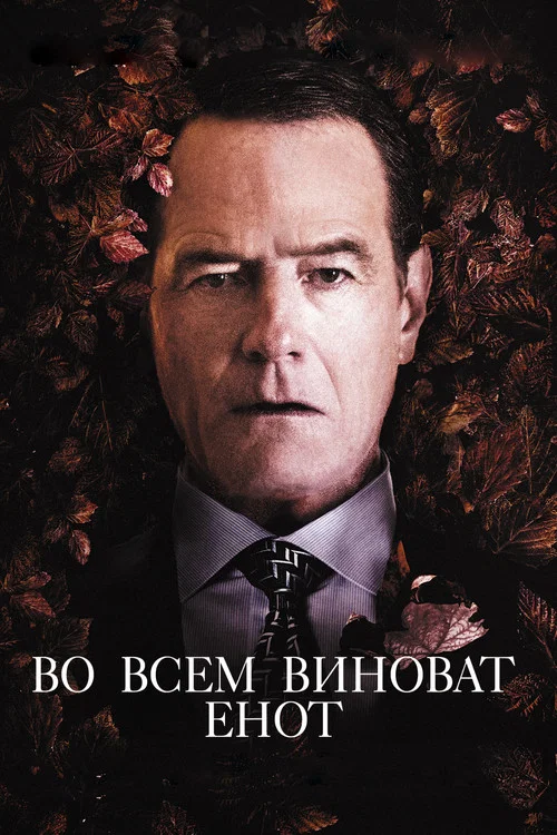 Во всём виноват енот постер