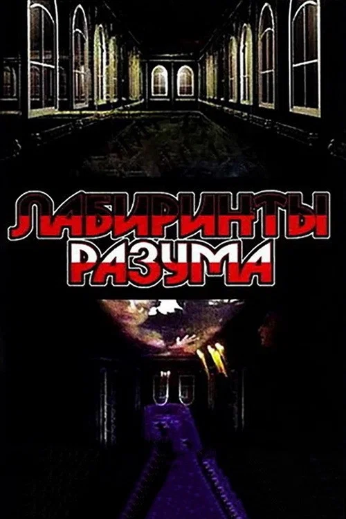 Лабиринты разума постер
