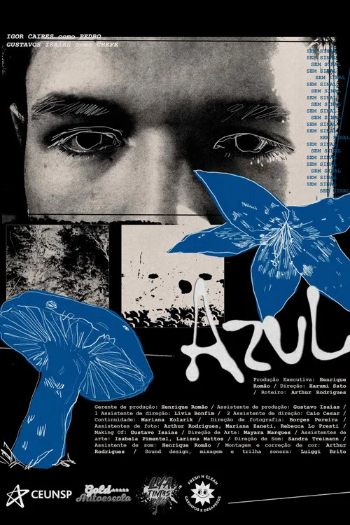 Azul постер