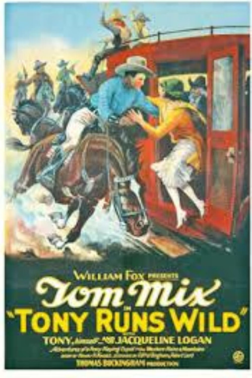 Tony Runs Wild постер