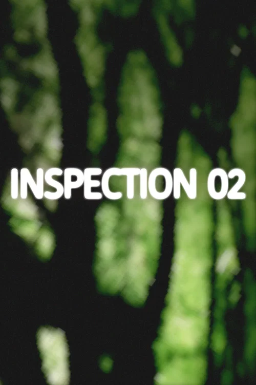 Inspection 02 постер