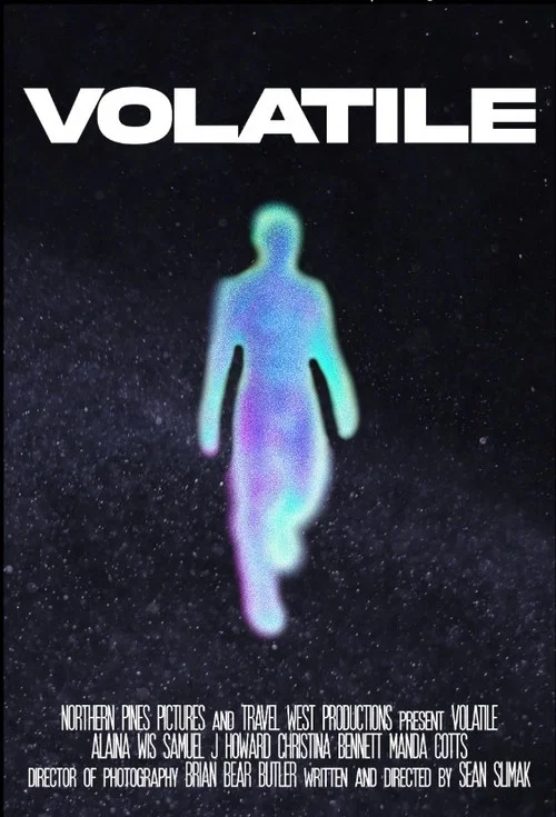 VOLATILE постер