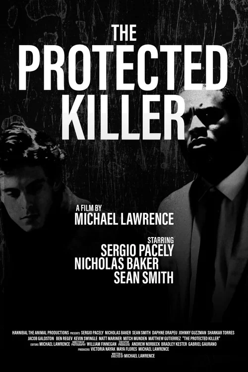The Protected Killer постер