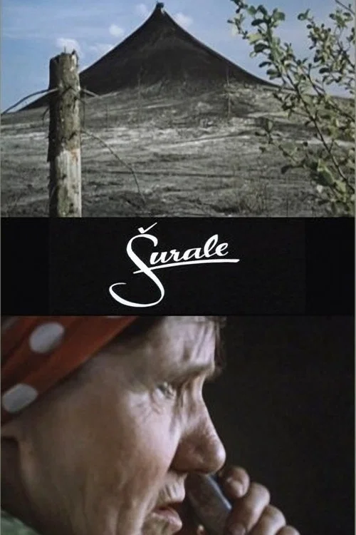Шуре постер