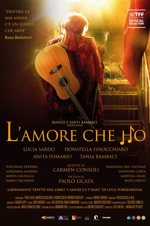 L'amore che ho постер
