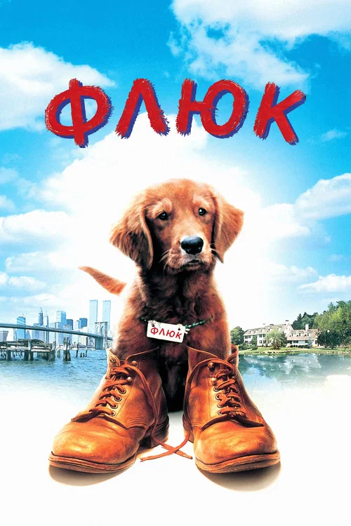 Флюк постер
