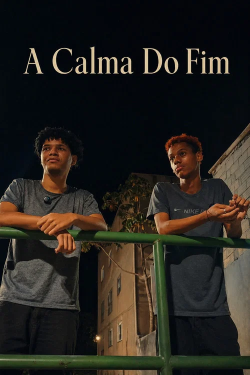 A Calma Do Fim постер