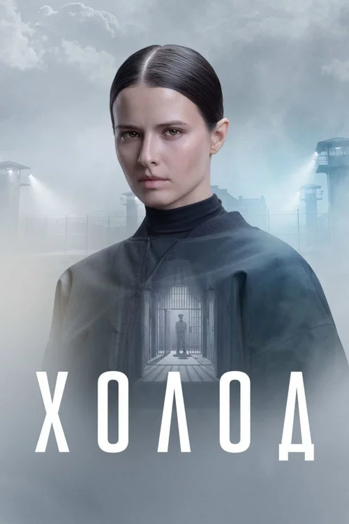 Холод постер