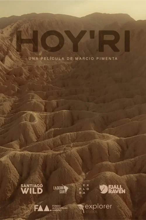 Hoy'ri постер
