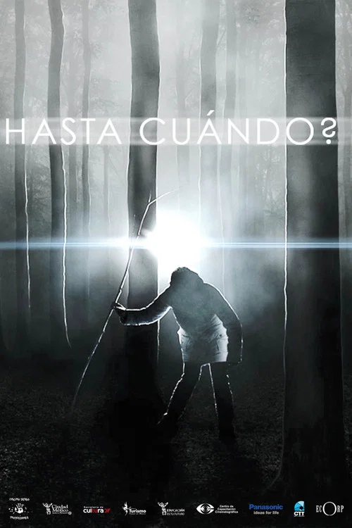 Hasta cuando? постер