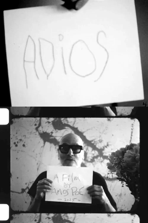 Adios постер