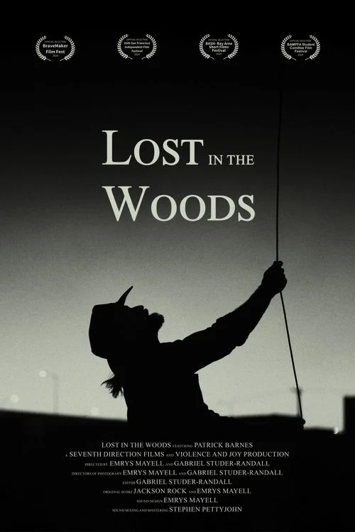 Lost in the Woods постер
