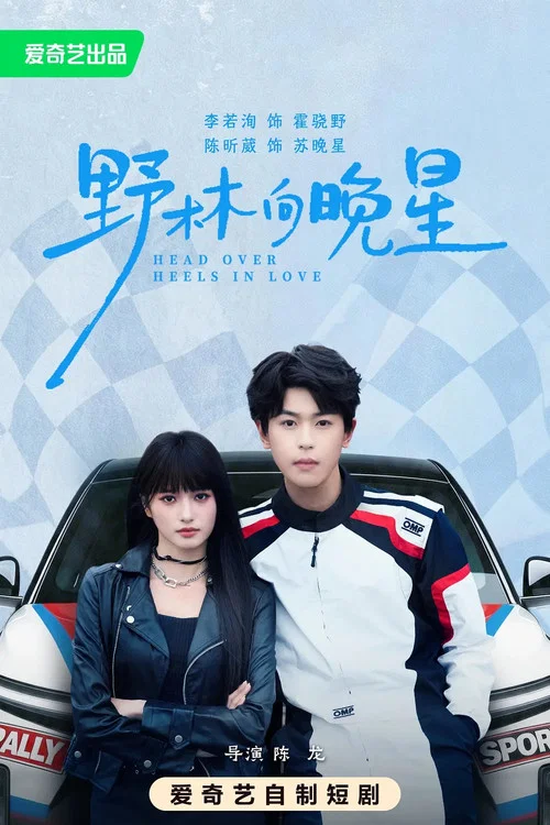 野林向晚星 постер