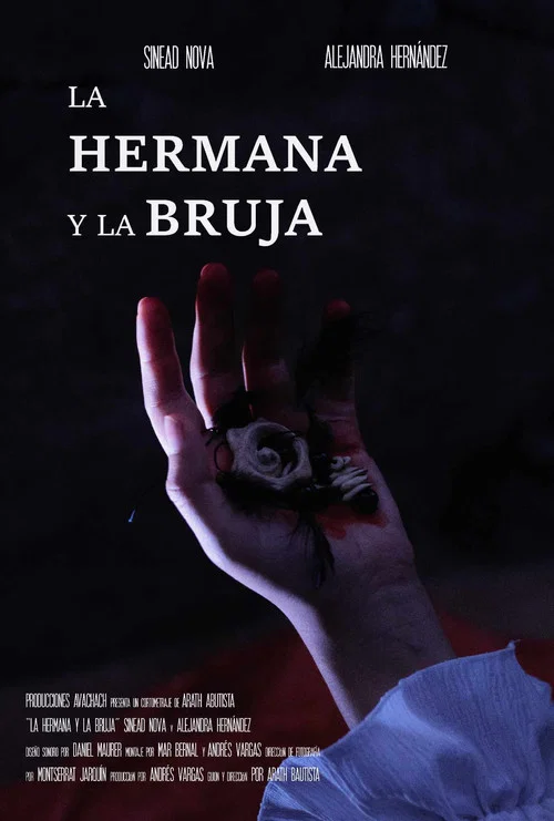 La Hermana y la Bruja постер