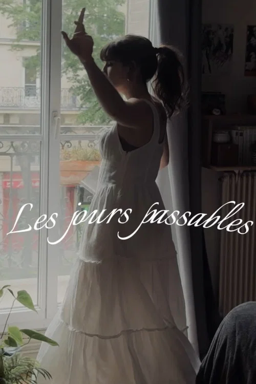 Les jours passables постер