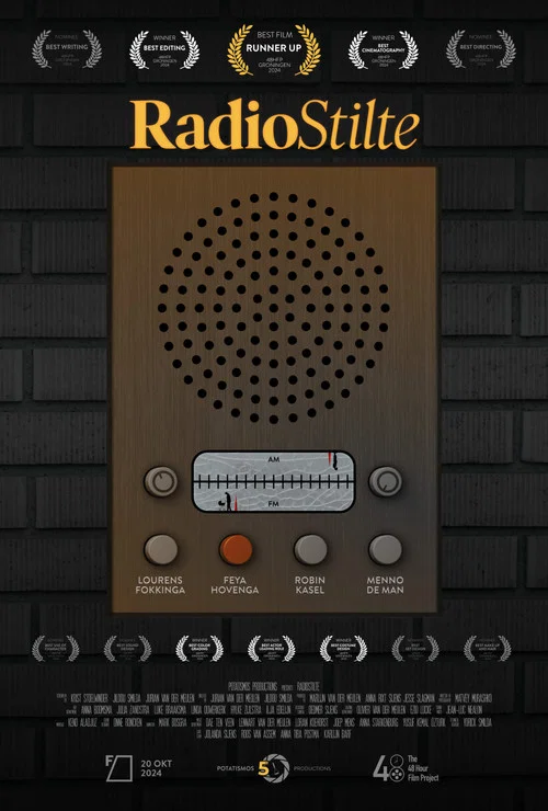 Radiostilte постер