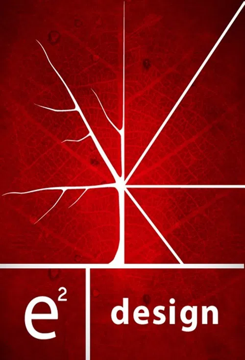 e² design постер