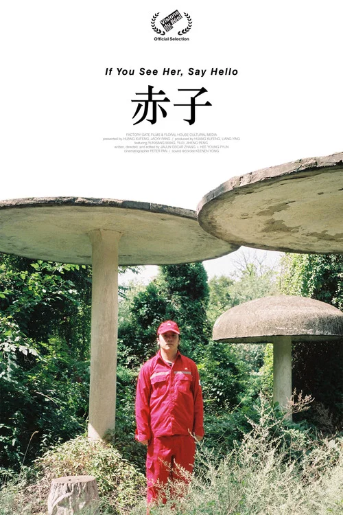 赤子 постер