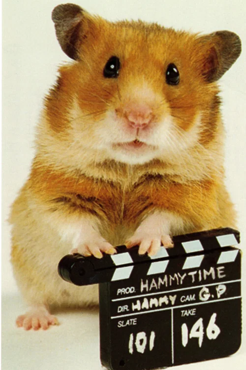 Once Upon a Hamster постер