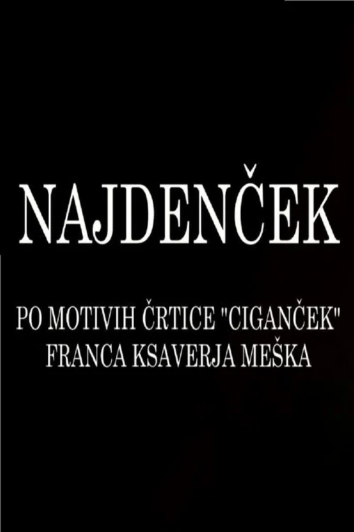 Najdenček постер