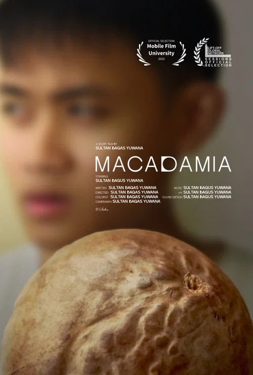MACADAMIA постер
