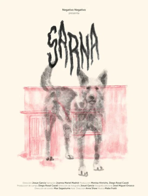 Sarna постер