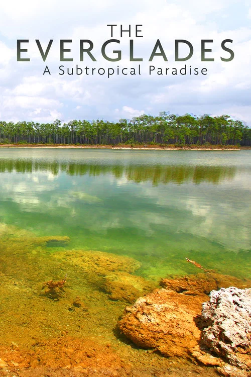 National Parks Exploration Series: The Everglades постер