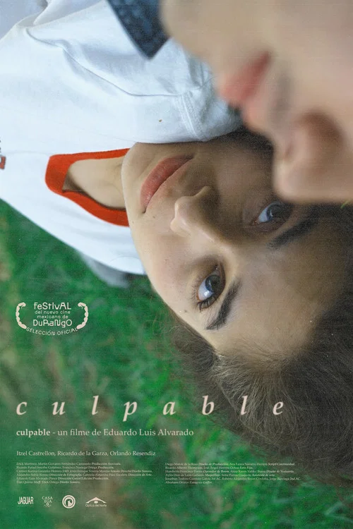 Culpable постер