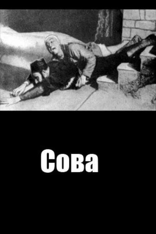 Сова постер