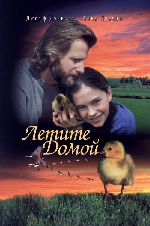 Летите домой постер