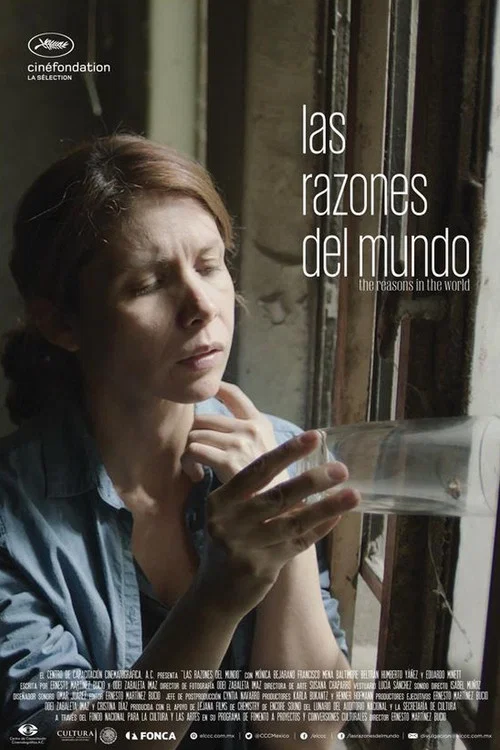 Las Razones del Mundo постер
