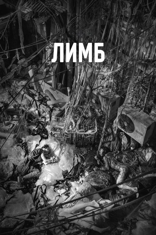 Лимб постер