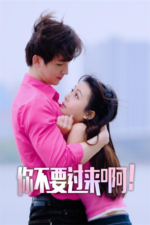 你不要过来啊 постер
