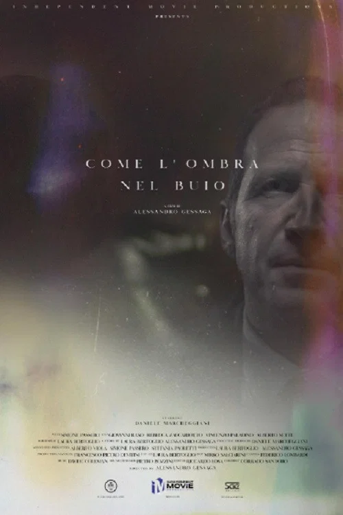 Come l'ombra nel buio постер