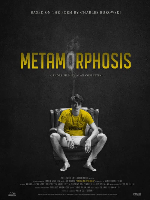 Metamorphosis постер