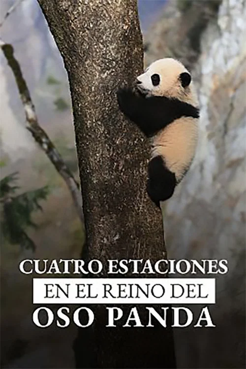 4 Saisons Au Royaume Du Panda постер