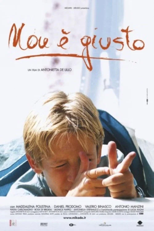 Non è giusto постер